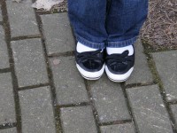 P3123979 1280 X 1024