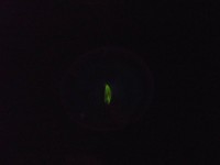 Lanresort2011 Tommy 045